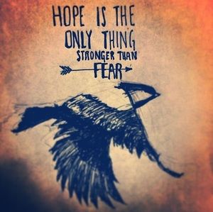 Meet your Posher, Evan